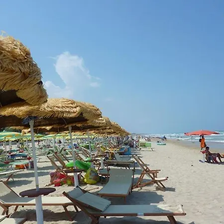 Apartment Narciso Fronte Mare - *